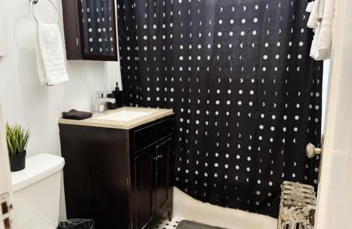 Rogers Park Apartment | Sunlit Studio with City Charm - Lunt studio rep