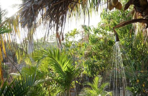 Emiliano Zapata Apartment | Surf Studio - SolSurf House Mita