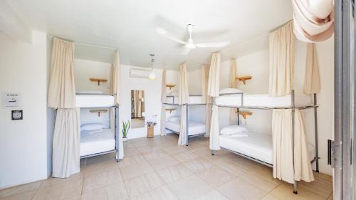 Los Tamarindos Hostel | SurfNest Tamarindos
