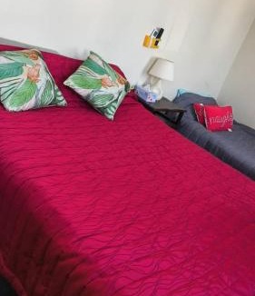 Frankton House | SUSAN'S SWEET HOME Hamilton CBD