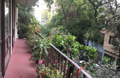 La Condesa Apartment | THE BEST PLACE IN THE HEART OF CONDESA