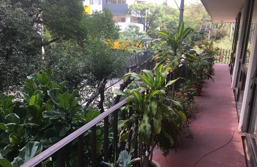 La Condesa Apartment | THE BEST PLACE IN THE HEART OF CONDESA
