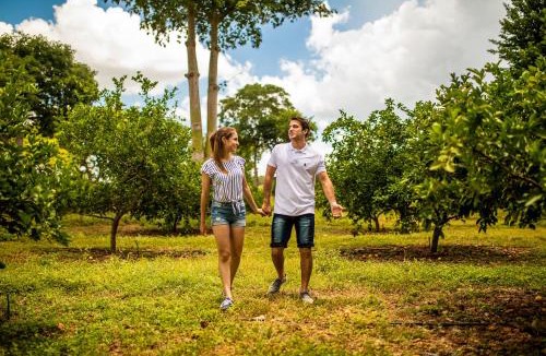 Uxmal Cabin | The Lodge At Uxmal
