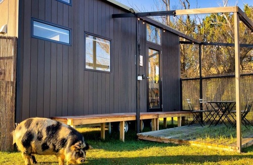 Patearoa House | The Minimalist Tiny House by Tiny Away