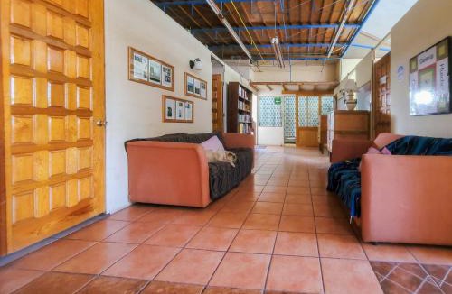 La Cruz de Huanacaxtle Hostel | The Octopus's Garden Hostel