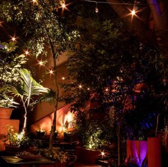 Hipodromo Bed & Breakfast | The Red Tree House