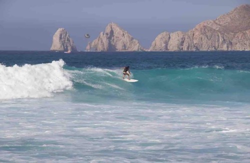 Centro House | The Sunflower House, Downtown Cabo