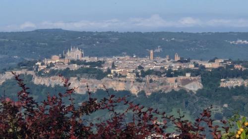 Orvieto House | Tra gli ulivi e il panorama