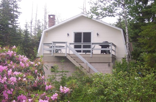 Tremont Apartment | Treetop retreat with access to kayaks and rowboat near Acadia National Park