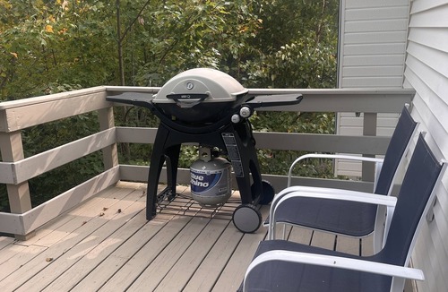Tremont Apartment | Treetop retreat with access to kayaks and rowboat near Acadia National Park