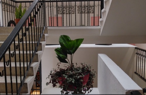 Emiliano Zapata Hotel | Tropicus 07 Romantic Zone Double Room with Terrace