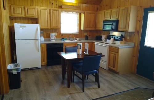 Gatlinburg Ski Chalet | Urban Escape - 1BR King Cabin