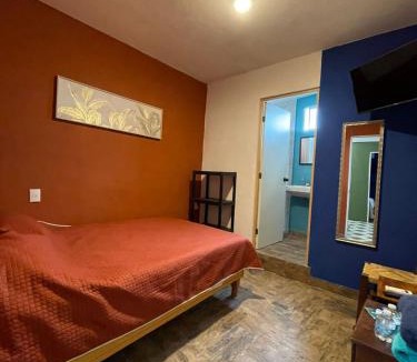 Xilitla Bed & Breakfast | verde amanecer