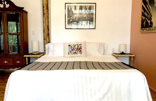 Del Carmen House | Very close to the House of Frida Kahlo!