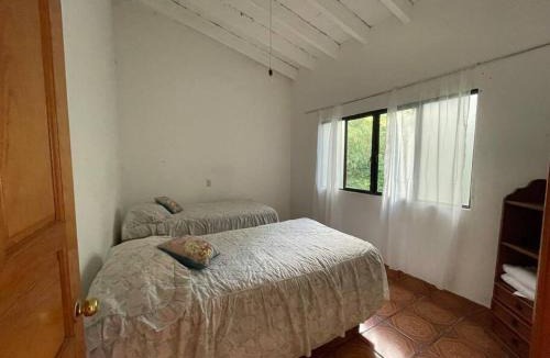 Santo Domingo Apartment | Very cozy, walking distance from downtown