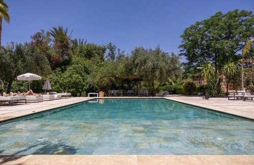 Palmeraie Villa | Villa Al Assala Palmeraie