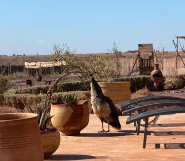 Ouahat Sidi Brahim House | Villa Kela Serene