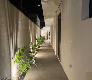 Celestun House | Villas Kaanab