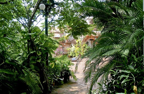 Downtown Puerto Vallarta Villa | Walking distance to the boardwalk, shops, and nightlife, restaraunts and more!