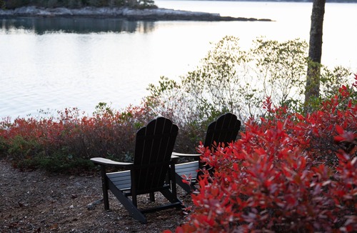 Mac Mahan Cabin | Wiggleswick Cottage; A Dogs Welcome Certified Property! Holiday availability!