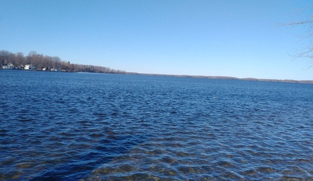 1/2 Acre Cottage with 2 Guest Cabins on Buckhorn Lake in the Kawarthas