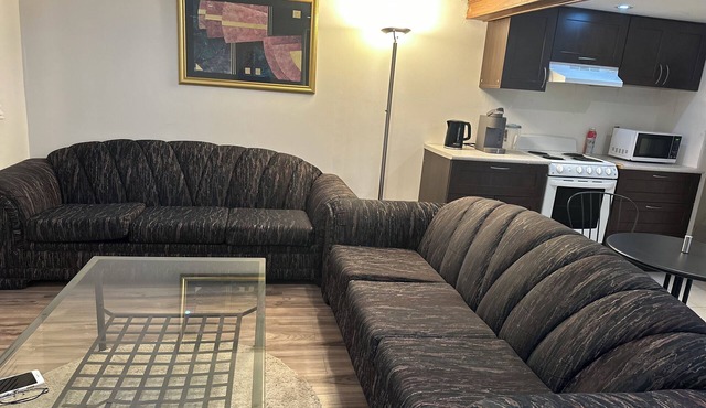1-BR Basement Apartment : TTC/Subway Access in Toronto