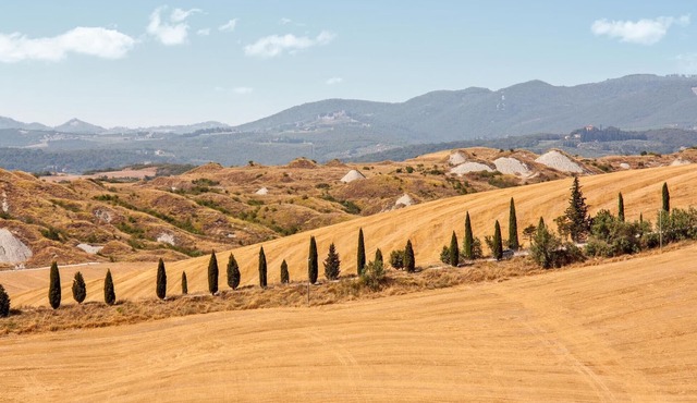 3 bedroom accommodation in Rapolano Terme