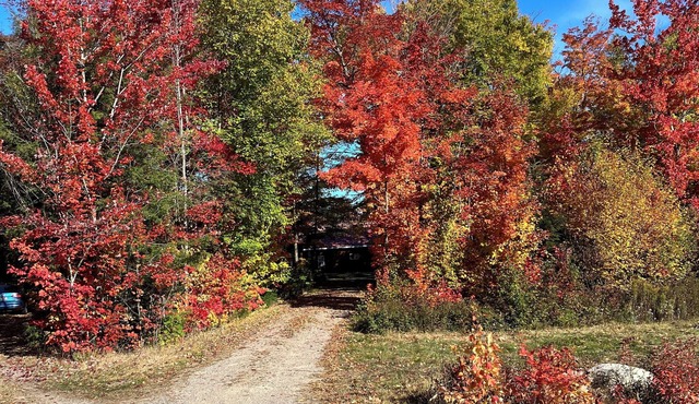 A beautiful setting for a quiet retreat