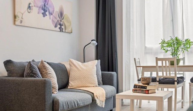 Accessible flat near the Toledo Bridge - 1A