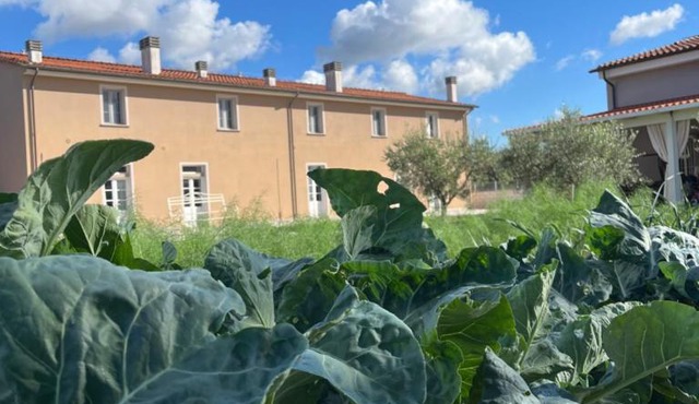 Agriturismo Le Spighe