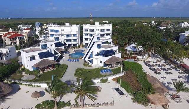 Airy and spacious condo on the beach with pool