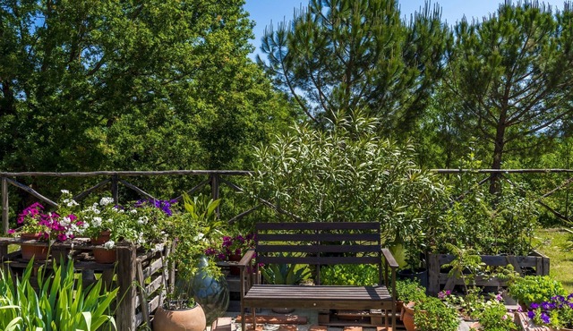 Apartment between Florence Siena and Arezzo, swimming pool, barbecue and large green space