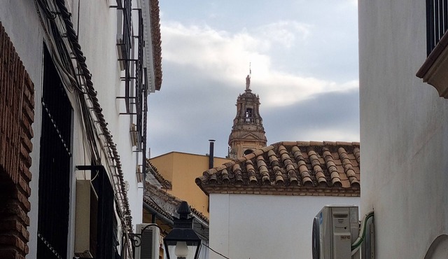 APARTMENT IN THE COURTYARD OF THE JUDERIA OF CORDOBA