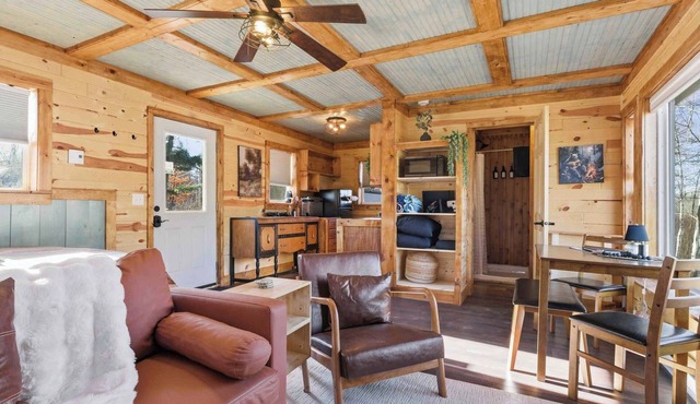 BEAR Necessities tiny home, outdoor theater w/hottub!