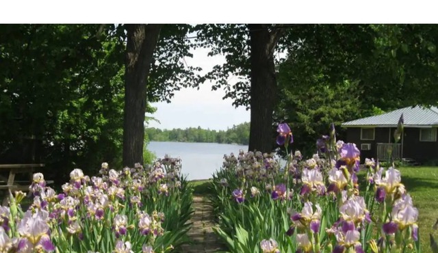Beautiful Lake Front 2BR Cottage