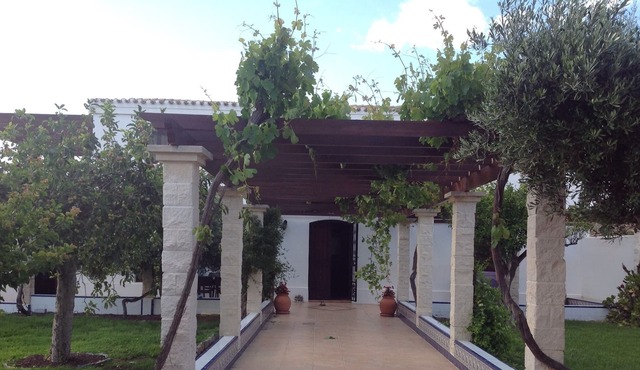 Beautiful Spanish House