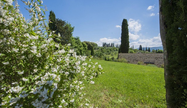 Borgo Bottaia a paradise close to Florence (2+2PAX)