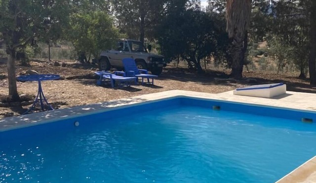 Burruelo Ranch in Algodonales