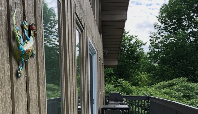 CALAVIEW CHALET for work or play, your 4-season retreat to nature