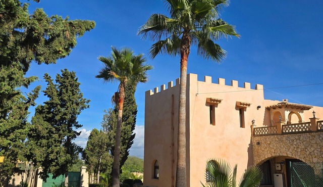 Castell Villa Bohío Mallorca by Interhome
