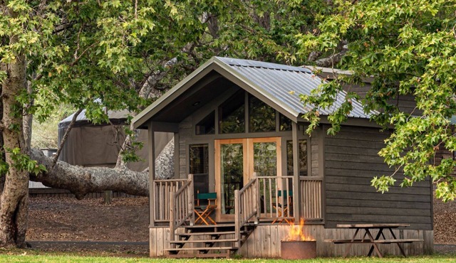 Central Cabin + Queen + Firepit | No Hidden Fees