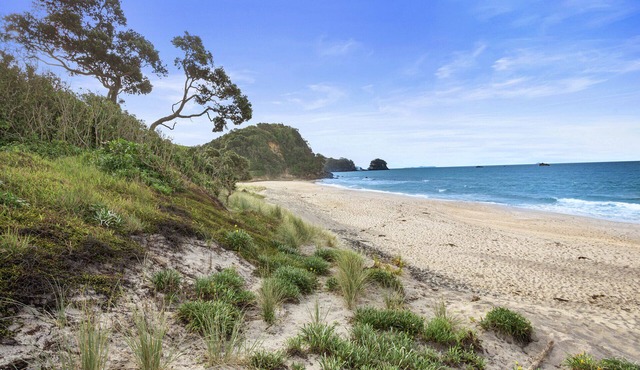 Changing Sands - Whiritoa Holiday Home