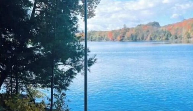 Charming, Cozy 4 Season Waterfront Cottage in Minden