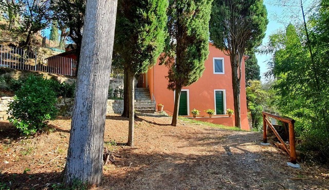Collina Lagomare - Massarosa ,Tuscany