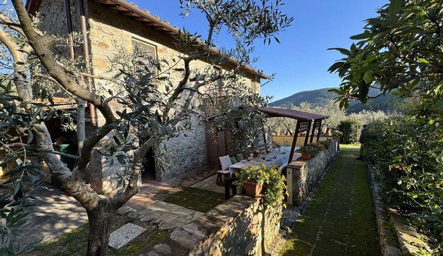 Country House/Farm House in Buti with 4 bedrooms sleeps 8