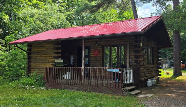 Cozy Hilltop Cabin - 10 minutes to Bancroft