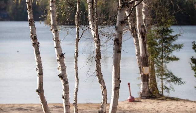 Cozy lakefront cottage at Algonquin Woods cottage resort