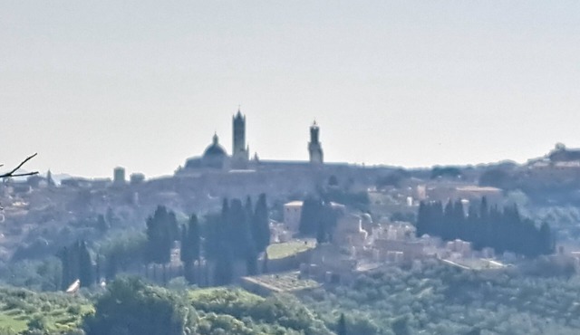 Cozy Tuscan-style apartment Suitable for families. Pets allowed