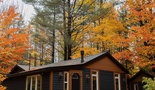 Doma Lodge - Cozy Muskoka Cabin in the Woods