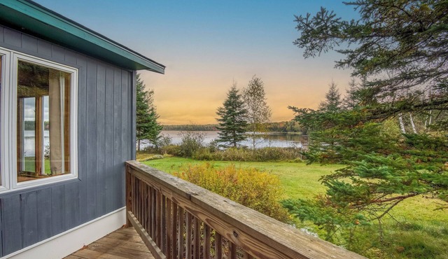 Eagles Cove with kayaks, paddle boat, fire pit, pet friendly